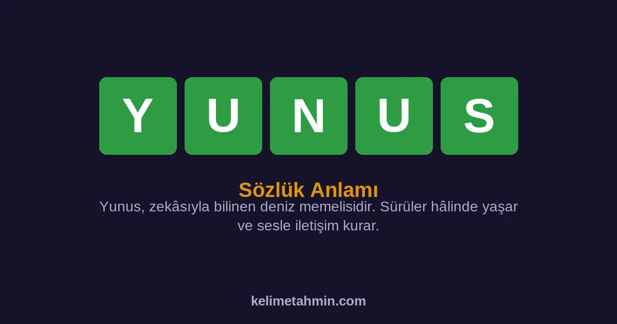 YUNUS YUNUS — anlamı ve örnek cümleler