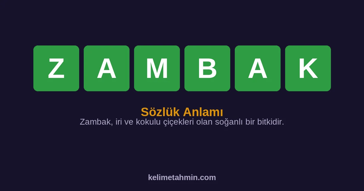 ZAMBAK ZAMBAK — anlamı ve örnek cümleler