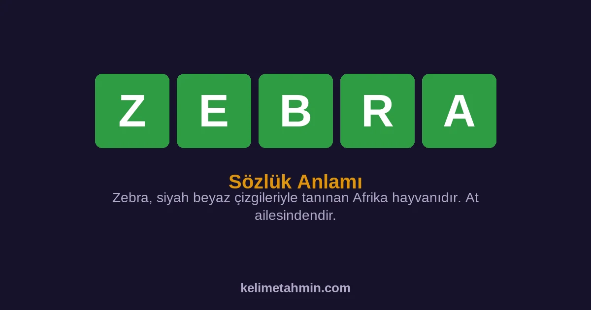 ZEBRA ZEBRA — anlamı ve örnek cümleler