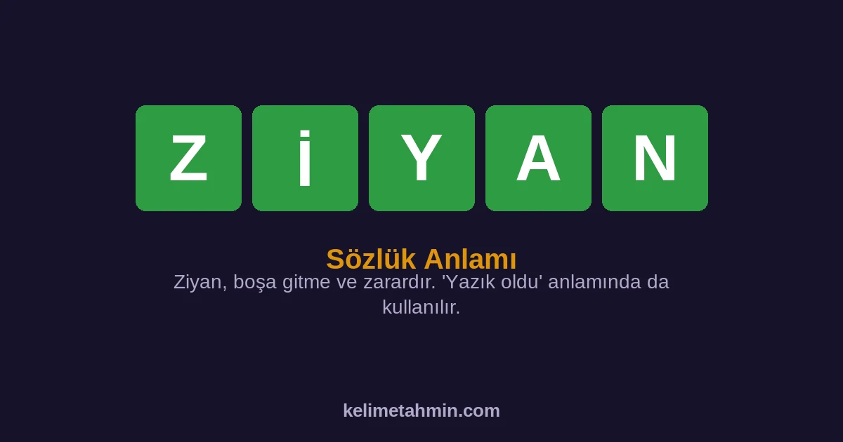 ZİYAN ZİYAN — anlamı ve örnek cümleler