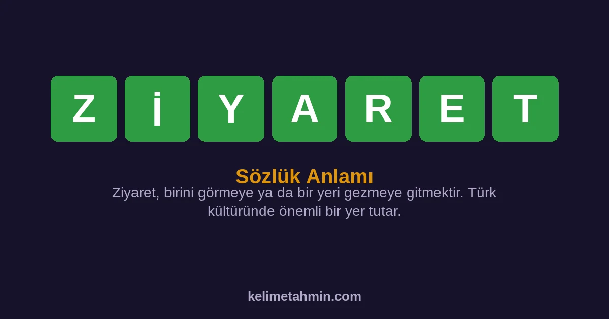 ZİYARET ZİYARET — anlamı ve örnek cümleler